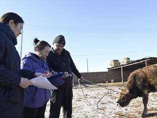首次！中央一号文件提出“常态化精准帮扶”