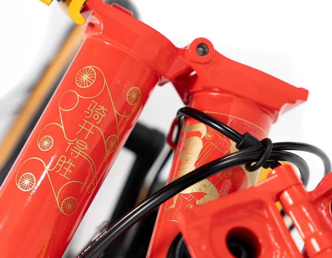 BROMPTON“骑开得胜”定制P Line 设计细节(1).jpg