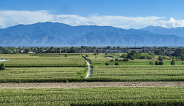 中央一号文件解读｜承前启后，明确农业农村现代化三大目标