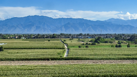 中央一号文件解读｜承前启后，明确农业农村现代化三大目标