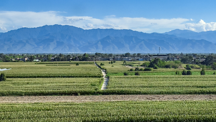 财经速递,粮食安全,农业中央一号文件解读;农业农村现代化;三大目标