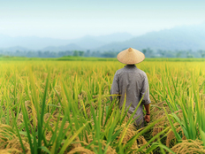 直通部委｜今年29省区市全面开展二轮土地延包试点 3.6亿驾驶人已申领电子驾驶证