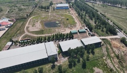 地方新聞精選 | 天津一設施農業(yè)項目被建成馬術比賽場館 賀嬌龍被追授記大功獎勵