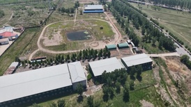 地方新闻精选 | 天津一设施农业项目被建成马术比赛场馆 贺娇龙被追授记大功奖励