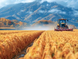 中央一号文件发布，生物育种、数字农田勾勒农业新质生产力新图景