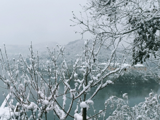 春运首场雨雪寒潮来袭：局地降温超20℃，多省份迎大到暴雪