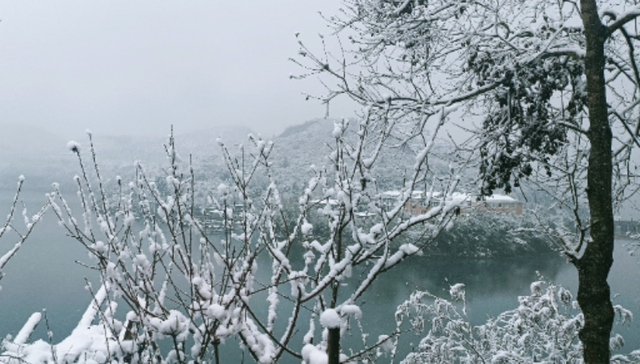 春运；雨雪寒潮；局地降温超20℃；多省份；大到暴雪