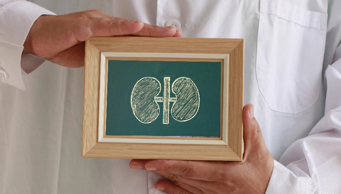 人大代表臧秀娟;肾脏疾病;上海重大疾病;优先防治;上海两会