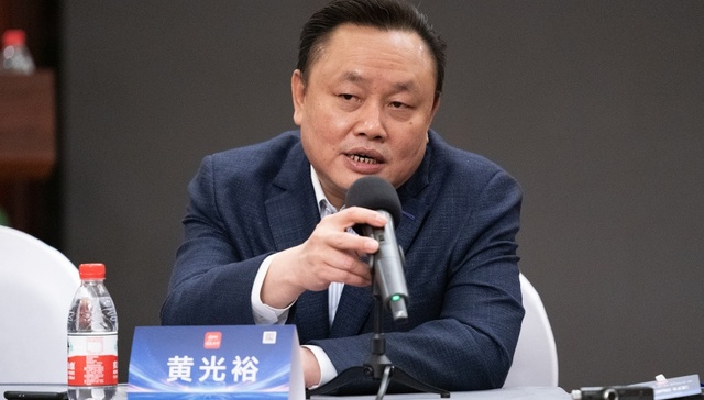 黄光裕;2.23亿元股权;冻结;国美;转型五年未果