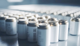 钠电池打响突围战，何时能“挑大梁”？