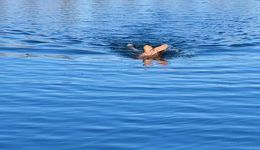 噗通：跃入17摄氏度以下的冬泳江湖