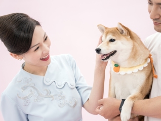 春节出行服务升级，携“萌宠飞”、中转免费游