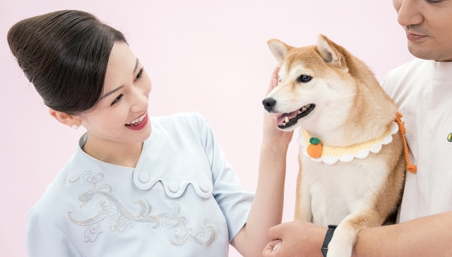 春节出行服务升级，携“萌宠飞”、中转免费游