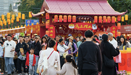 625亿元国补资金已到位，春节假期加大补贴投放