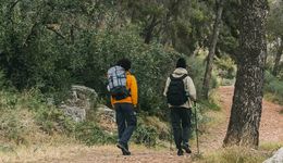 又一家美国百年零售巨头，宣布破产