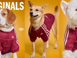 春节买新衣，不只给自己也给宠物