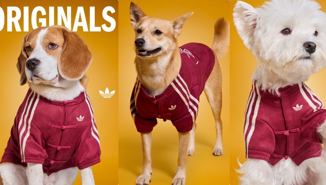 春节买新衣，不只给自己也给宠物