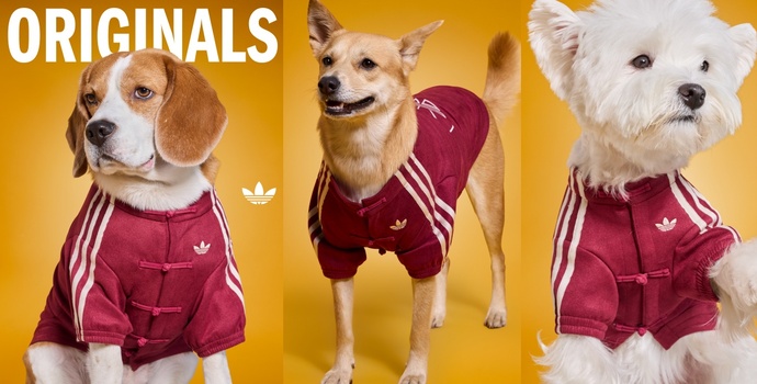 春节买新衣，不只给自己也给宠物