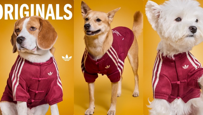 春节买新衣，不只给自己也给宠物