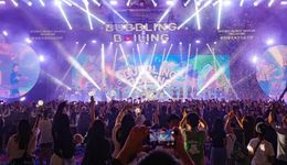 当一场顶级音乐节面临“43天”生死劫