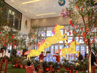 “红包雨”来袭！地方密集推出系列举措促进春节消费