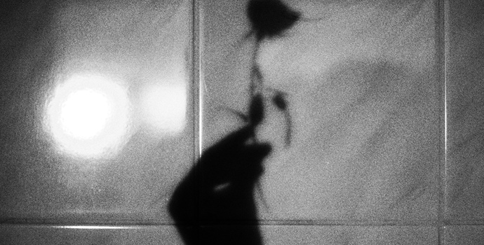 今天我们还相信“爱情神话”吗？从浪漫喜剧谈起｜情人节