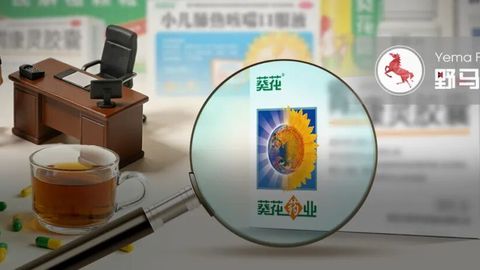 “黑龙江富豪”二代辞职，职业经理人上位82亿葵花药业