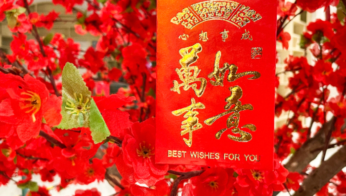 扎堆来华，花式过年，这个春节老外为何对中国“真香”了？