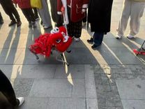 1億上春晚后，王興興們繼續(xù)過苦日子