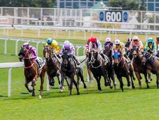 停摆近三十年，广州赛马运动再开闸