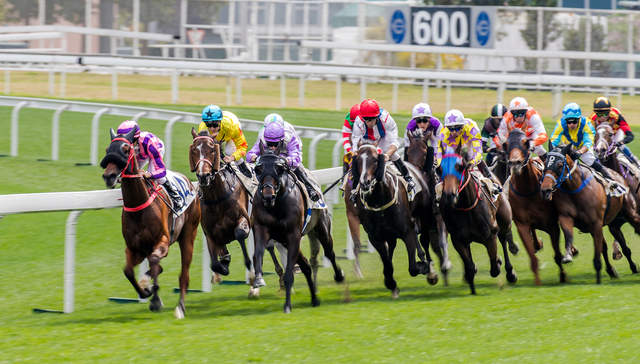 停摆近三十年，广州赛马运动再开闸