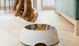 給“毛孩子”吃好點(diǎn)，為什么難成好生意？