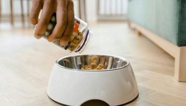 宠物食品,派特鲜生,