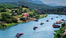 “十五五”产区成主角，白酒向“绿”向“新”