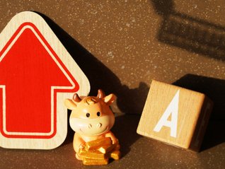 西部證券獲批、北交所做市商擴(kuò)至21家，券商布局態(tài)度明顯分化