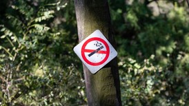 应急管理部点名江苏响水桥梁垮塌事故：“草台班子”施工致项目质量难以保证