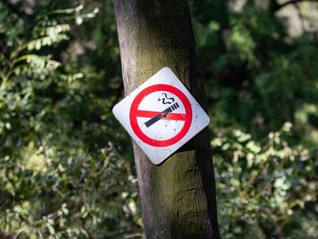 應(yīng)急管理部點名江蘇響水橋梁垮塌事故：“草臺班子”施工致項目質(zhì)量難以保證