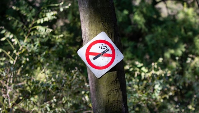 应急管理部;江苏响水桥梁垮塌事故;草台班子;项目质量