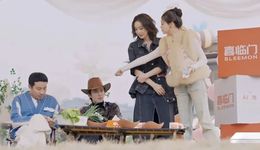 综艺招商的“头部通吃”正在杀死创新