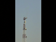 美军证实3架F15战机坠毁：“明显遭友军击落”