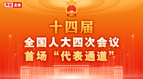 十四届全国人大四次会议首场“代表通道”集中采访活动
