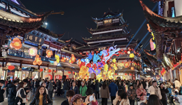 如何深入实施提振消费专项行动？政府工作报告作出这些安排