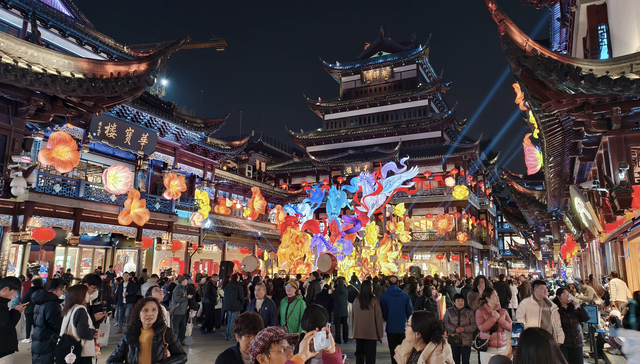 促消费,;深入实施;提振消费专项行动;政府工作报告;安排