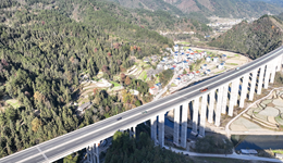 如何理解更加积极有为的宏观政策？政府工作报告起草组解读来了