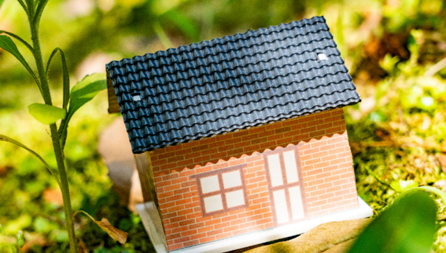 十五五规划纲要草案;常住地;基本公共服务