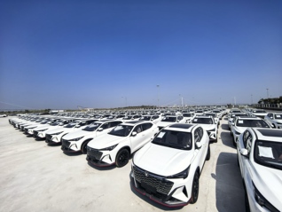 1200辆中国新能源车困于海峡：迪拜汽车经销商的突围