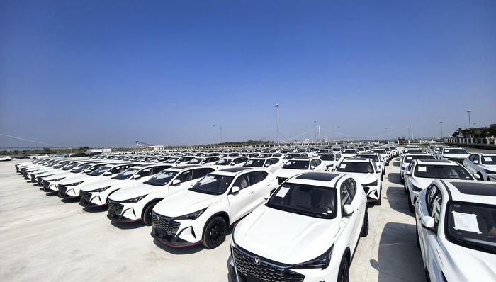 中国新能源车;迪拜;汽车经销商;海峡;突围