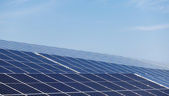 光伏,新能源,两会声音,通威股份全国人大代表刘汉元;优化新能源电价机制;及时下发可再生能源补贴