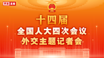 十四届全国人大四次会议举行外交主题记者会