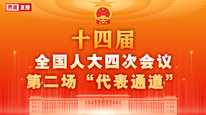 十四届全国人大四次会议第二场“代表通道”集中采访活动